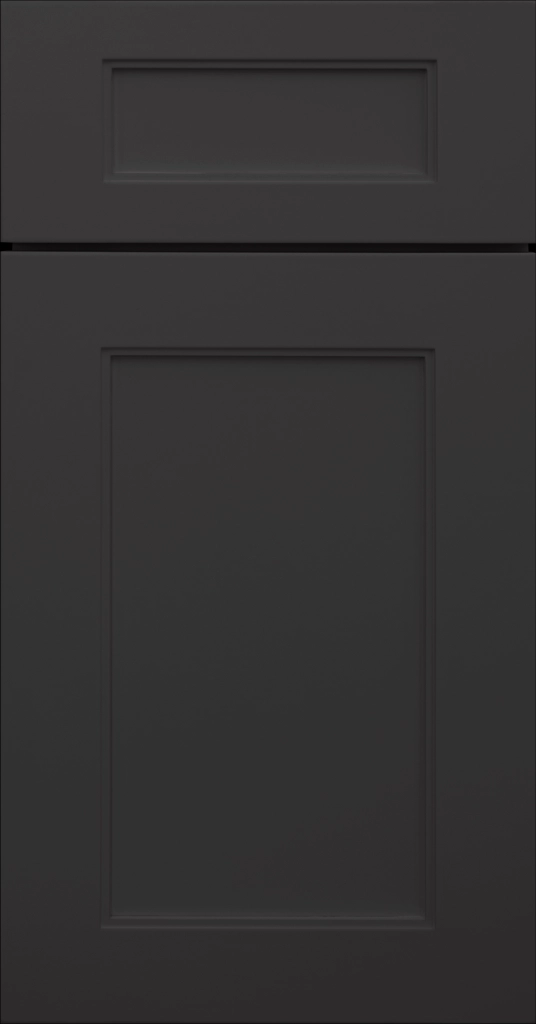 Denver Midnight Sun Cabinet with a Dark Matte Finish, wide stiles and rails, and inside molding.
